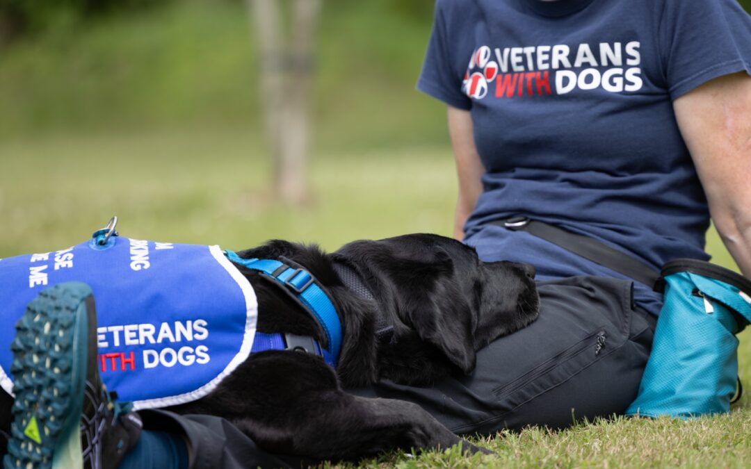 D3IP Announces Veterans with Dogs as New Charity Partner
