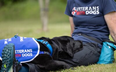 D3IP Announces Veterans with Dogs as New Charity Partner